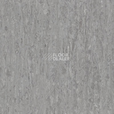 Линолеум Tarkett iq Optima Neutral Grey 0242 фото 1 | FLOORDEALER